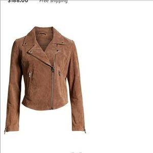 BLANKNYC Next Level Suede Moto Jacket